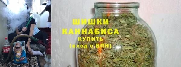 ГАЛЛЮЦИНОГЕННЫЕ ГРИБЫ Абаза