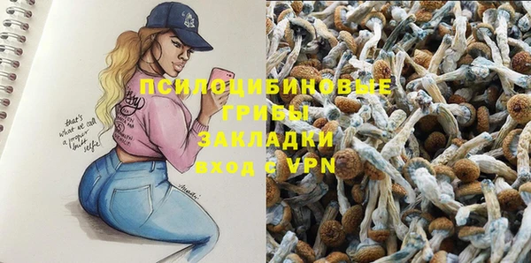 гашик Абдулино