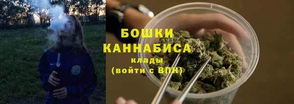 ГАЛЛЮЦИНОГЕННЫЕ ГРИБЫ Абаза