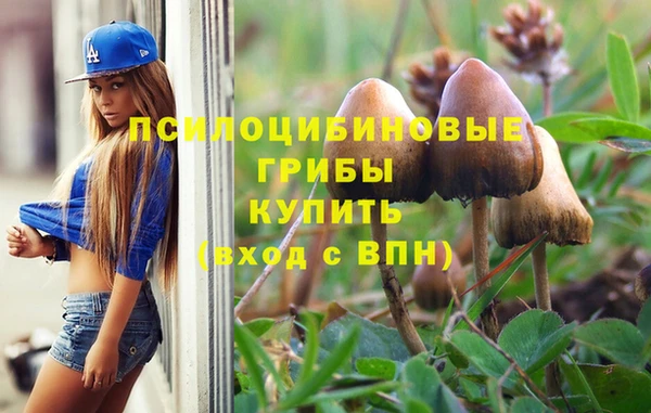 шишки Абинск