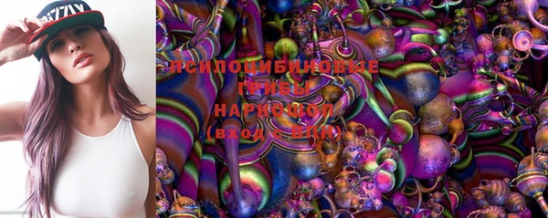 ГАЛЛЮЦИНОГЕННЫЕ ГРИБЫ Абаза