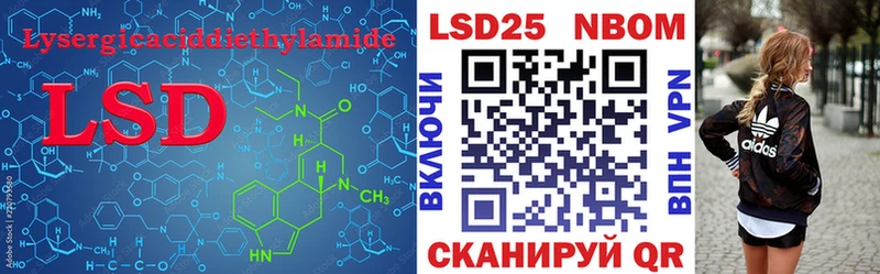 дарнет шоп  Алейск  Лсд 25 экстази ecstasy 